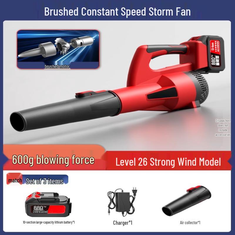 Powerful Cordless Blower CN Plug (adapter Included)