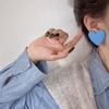 Zhang Jie Mayday Concert Star Tassel Earrings - Support Zhou Shen in Blue Outfit