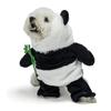 Halloween Pet Costumes: Funny and Quirky Cat and Dog Transformation Outfits, 3D Panda and Dog Costumes