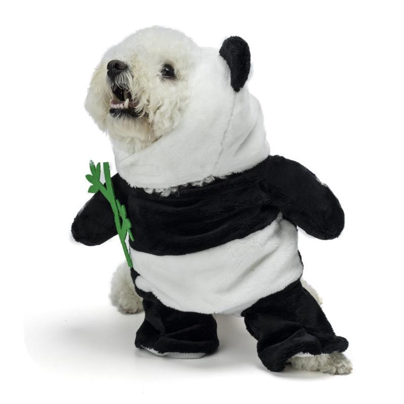 Halloween Pet Costumes: Funny and Quirky Cat and Dog Transformation Outfits, 3D Panda and Dog Costumes