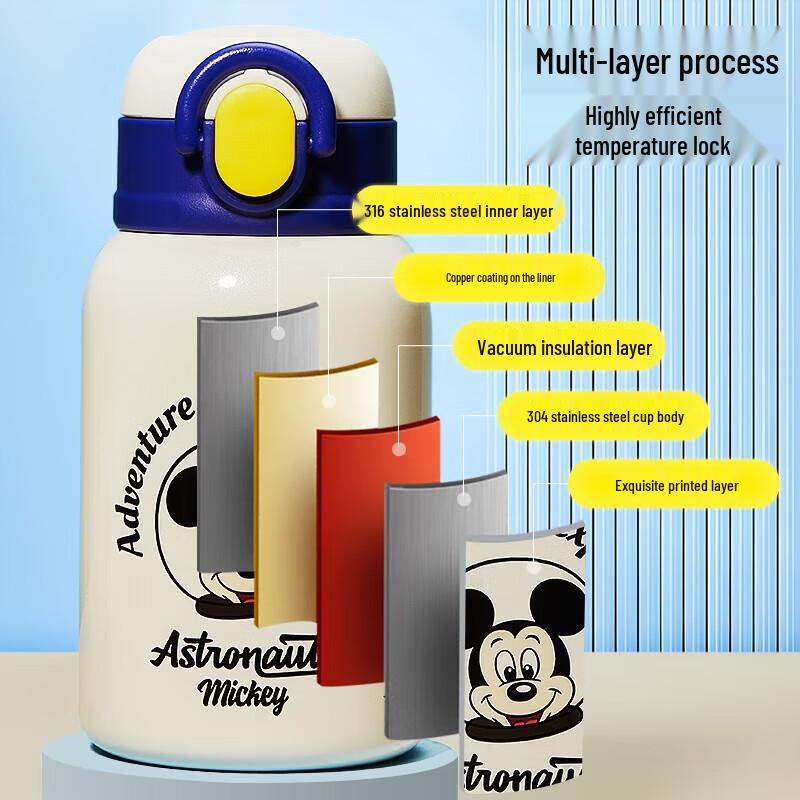 Disney 316 SS Kids Insulated Straw Bottle