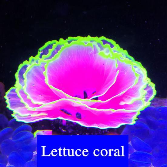 Aquarium Artificial Coral Silicone Coral Figurine Fish Tank Decor Glow-in-The-Dark Faux Coral with Suction Cup Underwater Landscape for Betta Fish