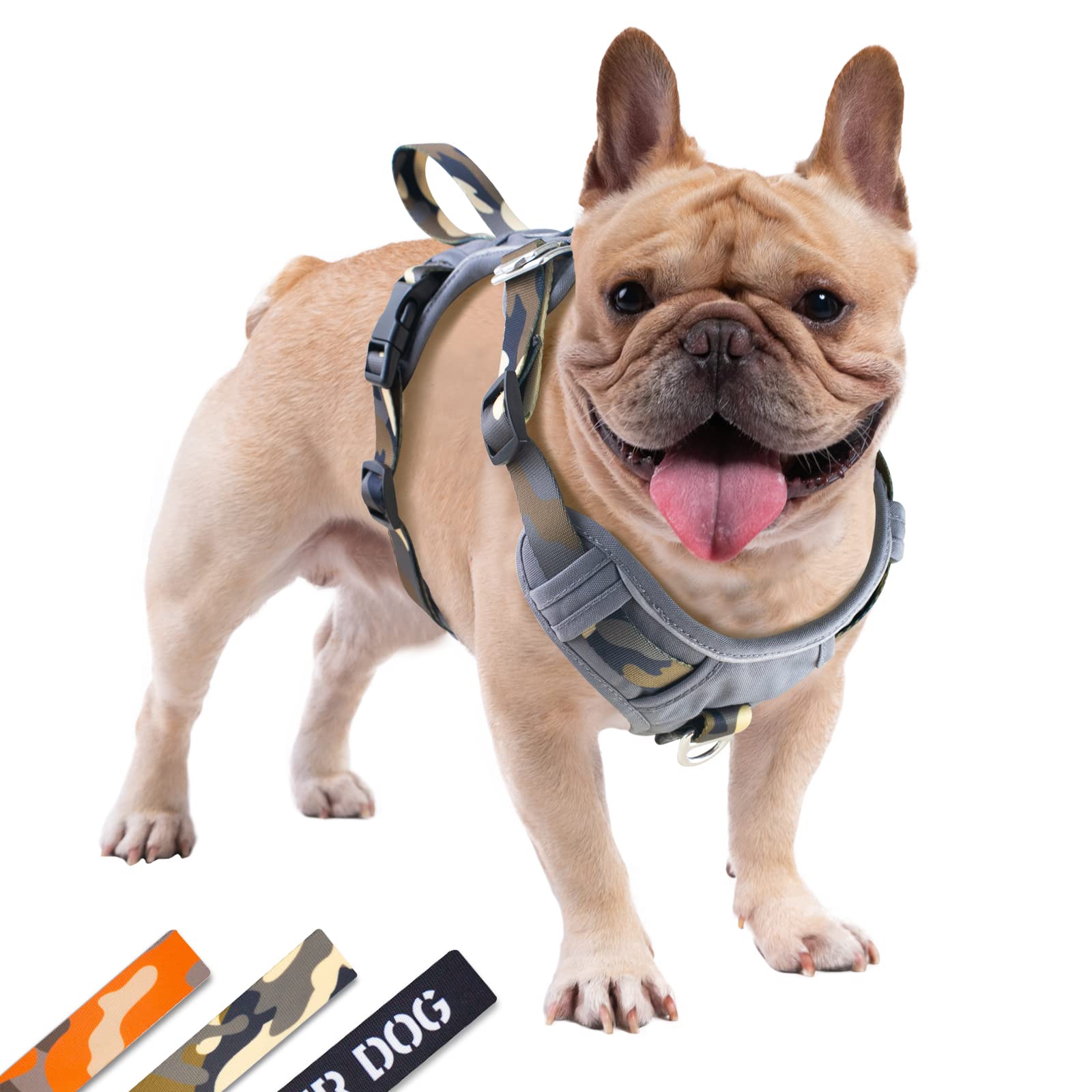 

Шлейка JC HOUSE для маленьких, підходить для вулиці та легка, підходить для французьких бульдогів та шиба-іну, зменшує навантаження на шию, легко одягається, камуфляж, 3M, популярна