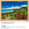 YANOMAN In Jigsaw Sea and Summer Ishigaki Island Includes Piece Request Service and Jigsaw Puzzle Instruction Manual [Made Japan] 500-piece Puzzle,