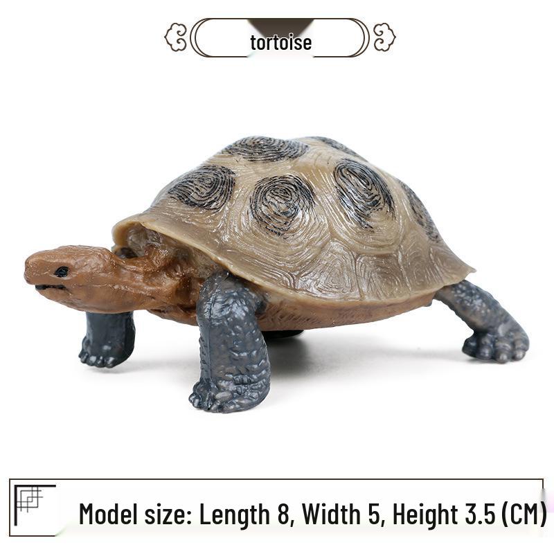Children's Cognitive Marine Animal Models: Sea Turtle and Tortoise Toys