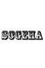 SCGEHA Camera Case, Inner Bag for SLR Cameras, Shock-Absorbing Cushioned Soft Material, Colorful and Stylish Bag-in-Bag (Black)
