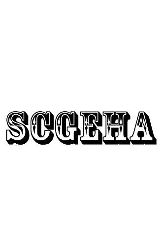 SCGEHA Camera Case, Inner Bag for SLR Cameras, Shock-Absorbing Cushioned Soft Material, Colorful and Stylish Bag-in-Bag (Black)