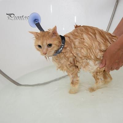 Pet Bath Holder Cat Dog Bath Tether Suction Cup Adjustable with Fixed Rope Pet Grooming Shower Bathing Harness Leash Pet Supply