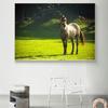 Posters and Prints with Animals, Canvas, Painting, Running Horses, Photographs for the Decor of the Living Room, Quadros,