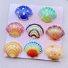 10Pcs New Cute Resin Cartoon Colorful Shells Series Flat Back Scrapbooking DIY Jewelry Craft Decoration Accessories