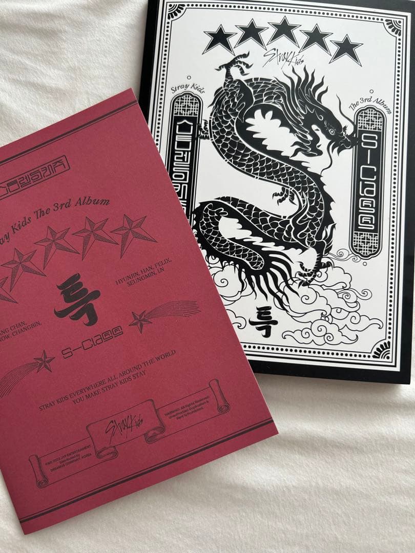 

[USED] Stray Kids 3rd Album S-class