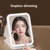 LED Makeup Mirror with Light Desk Mirror Beauty Mirror Bedroom Mirror Dressing Mirror