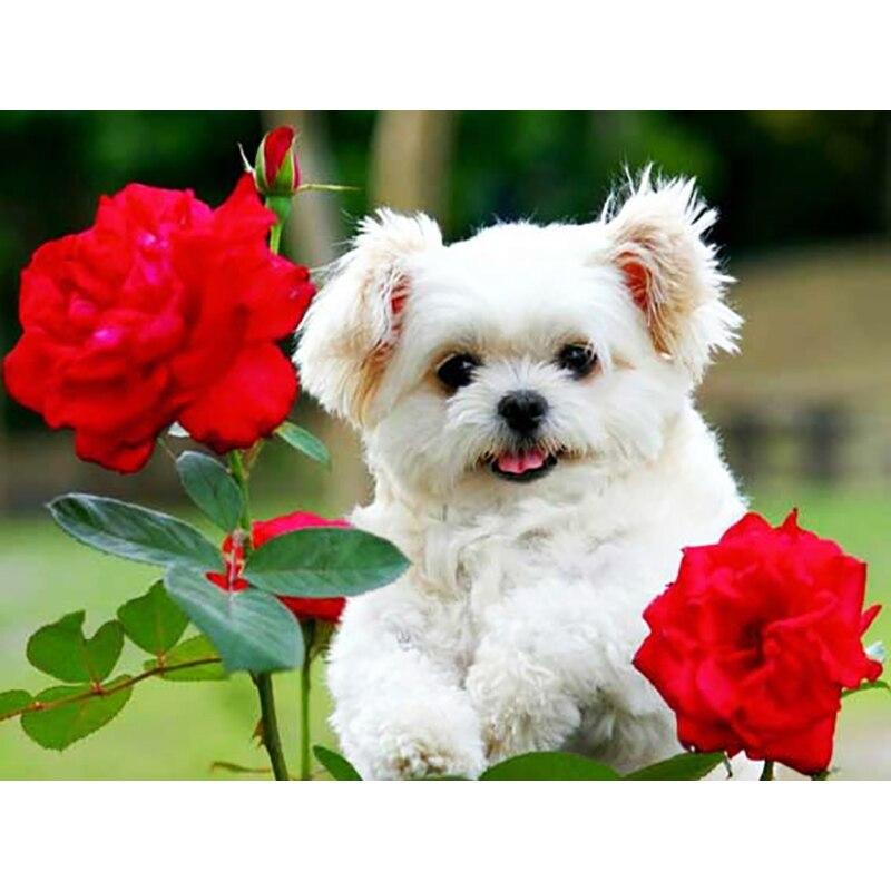 New 5D DIY Diamond Painting Dog Flower Diamond Embroidery Animal Cross Stitch Full Round Drill Home Decor Manual Art Gift