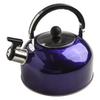 Stylish Whistling Kettle 3L Stainless Steel for Gas Electric Induction