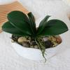 Simulation Phalaenopsis Leaf Artificial Plants Soft Rubber Phalaenopsis Leaf for Flowers Garden Bonsai Decor