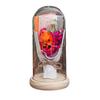 LED Clear Dome Pumpkin Night Light Halloween Pumpkin Figurine in Cloche with LED Light for Home Kitchen Mantel Tabletop Decor