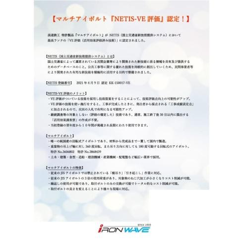 Multi-eye bolt (M12 x 21, weight 0.35 kg, working load 0.8 ton)