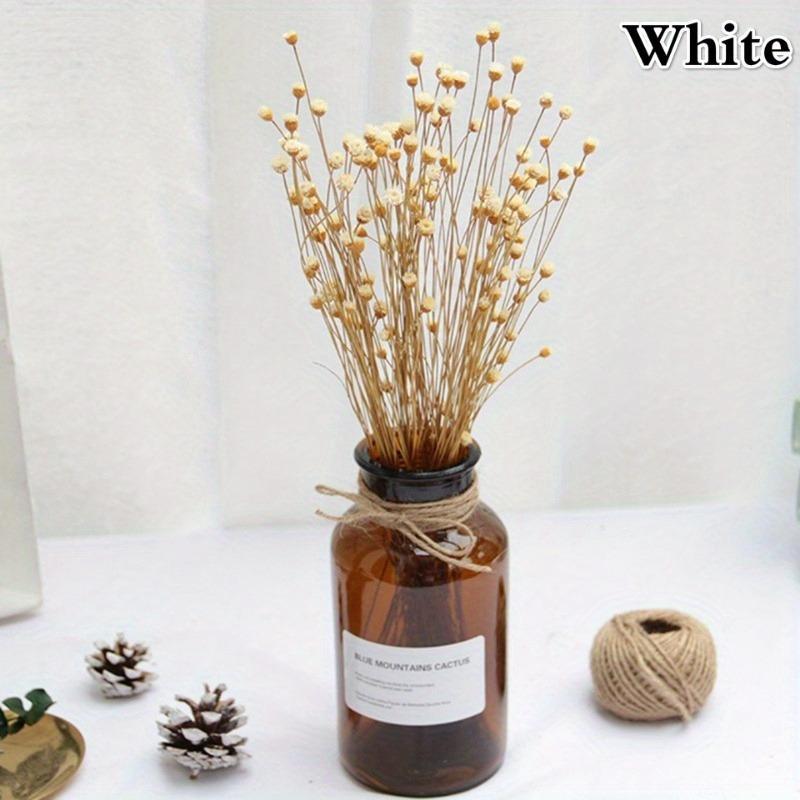 50 Stück/Strauß Brasilien Happy Flower Echte Blume Natur Echter Kleiner Trockenblumenstrauß