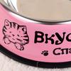 Stainless Steel Pet Dog Bowl Food Storage Container Dog Food Bowl Water Bottle Pet Bowl Feeder Dish For Small Large Dogs Cats