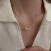 Shijia Pearl Necklace Women's Niche Light Luxury Design High-end Temperament Collarbone Chain Neck Chain Sweater Chain Bead Chain