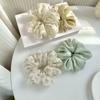 2 Stück/Set Übergroße Satin-Scrunchies Spitze Blumenstickerei Haargummis Seile Mädchen Luxus Pferdeschwanzhalter Spitze Fee Gummibänder