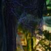Halloween witch, Halloween decoration, sound function, with motion sensor, LED lights, 130 cm x 18 cm x 183 cm