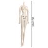 1/6 Doll Body Movable Jointed Nude For 30Cm High Jointed Doll Body  White Skin Doll Figure Model For Girl Toys