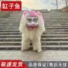 Professional Northern Lion Dance Prop Set