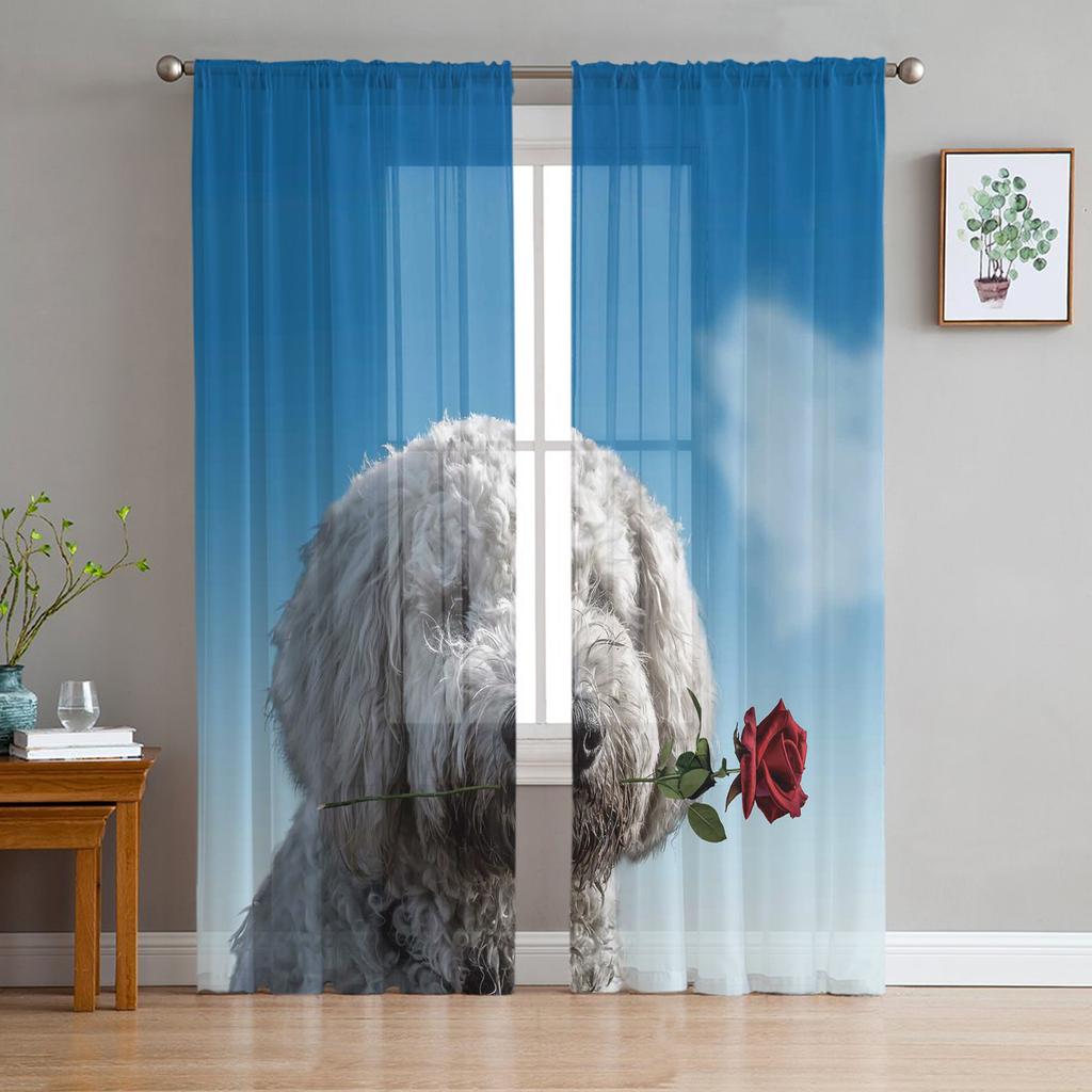 Mit einem Pommerschen Haustier Hund Erkerfenster Sichtschutz Vorhänge Drapieren Transparent Tüll Für Wohnzimmer Schlafzimmer Voile Organza Vorhänge
