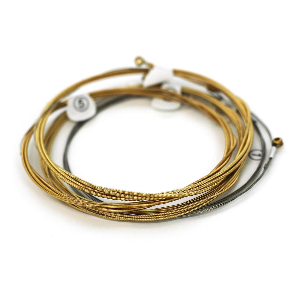 Corzi pentru chitară acustică ZIKO/Lio din bronz fosforos - Seria cu 6 corzi Folk/Cupru Roșu