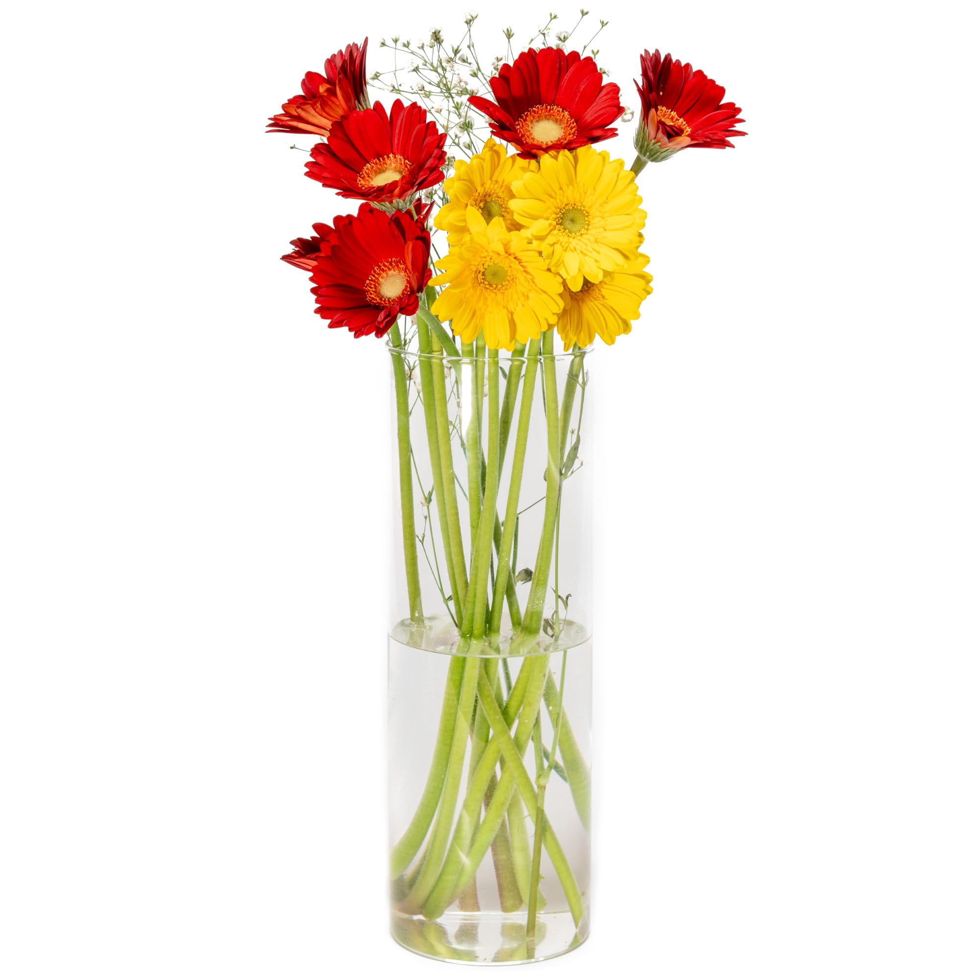 

Splenno Large Glass Vase, Transparent, Large Glass Flower Vase, Cylinder, 30cm, Stylish (12x30cm)