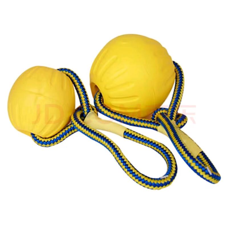 Dog Training Rope Ball