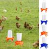 Poultry Automatic Feeding Bucket Chicken Feeder Barrel Water Bucket Geese Quail Drinking Farm Chicken Coop Water Supplies