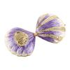 Seashell Jewelry Box Exquisite Gilded Enamel Painted Ornaments Home Decoration Crafts
