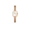 Danielwellingteon Quadro Mini Melrose Champagne Women'S Metal Watch