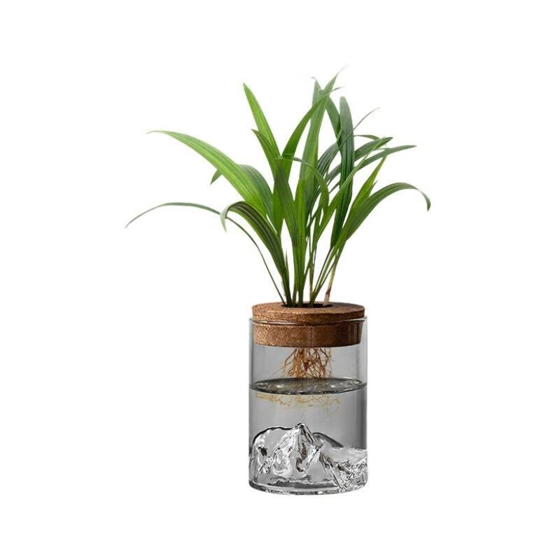 Vasos de Vidro Hidropônico com Vista para a Montanha JINGRUIXIANG (2 pacotes)