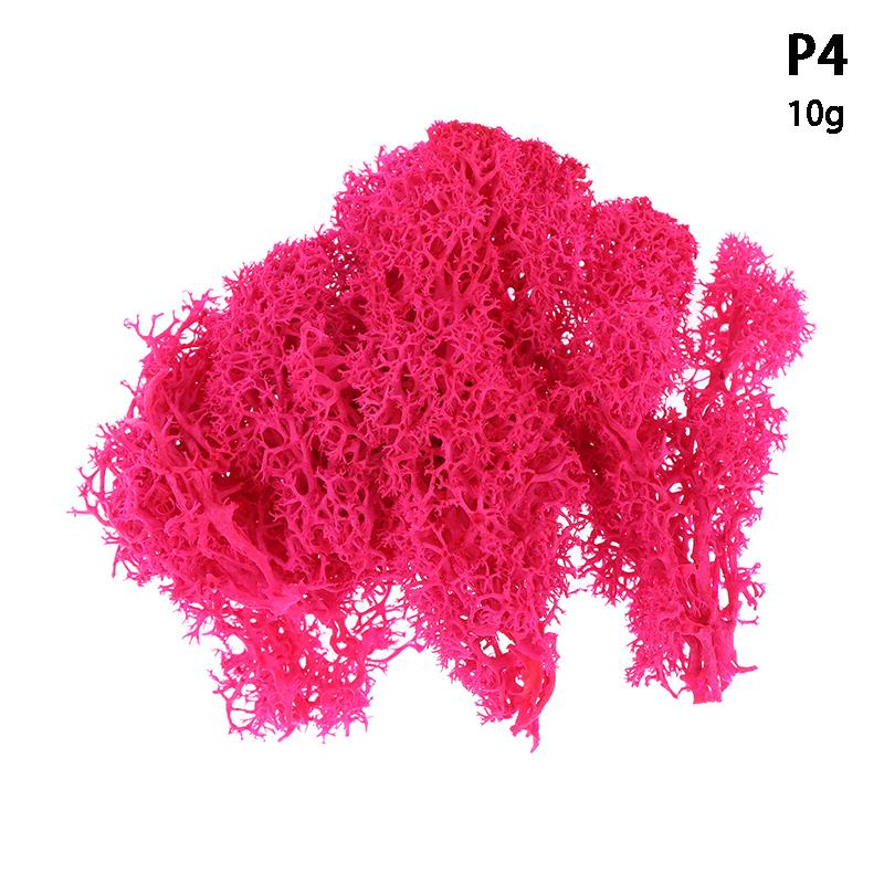 Colorful Natural Artificial Moss Plant DIY Dried Reindeer Moss Decor Resin Epoxy Filling Jewelry Garden Decorate Supplies