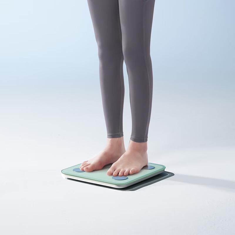Bear Smart Body Fat Scale (CN version)