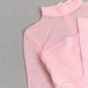 Elegant European & American Style Round Neck Mesh Long Sleeve Bodycon Dress