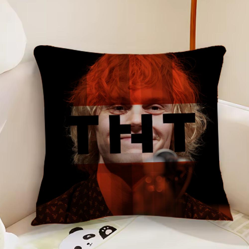 Handsome E-Evan Peters Pillow Case Cute Room Home office Decor Protective pixel Covers Without game Pillow-Insert