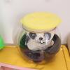 Transparent Storage Box Stool Multipurpose Children Storage Bench Plastic Round Stool  Living Room