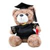 Personalized Graduation Bear Doll 2026 for Her, Soft Plush Teddy with Embroidered Gown, Class of 2026 Graduation Gifts for College High School