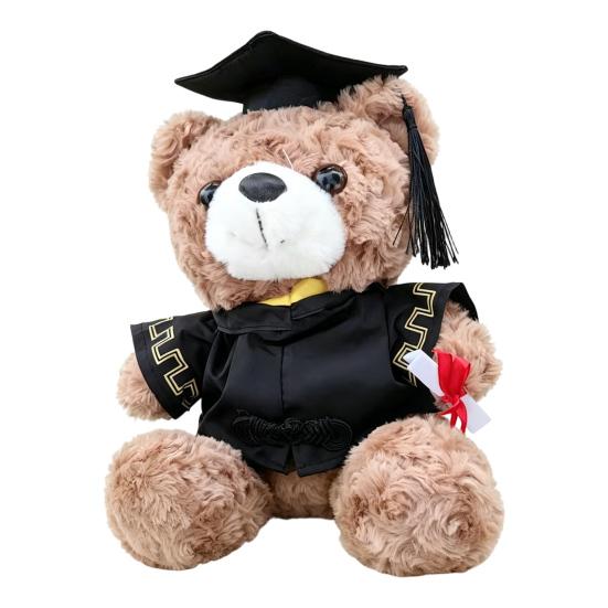 Personalized Graduation Bear Doll 2026 for Her, Soft Plush Teddy with Embroidered Gown, Class of 2026 Graduation Gifts for College High School
