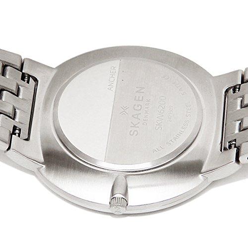 Skagen SKW6200 Silver Watch [Parallel Import]