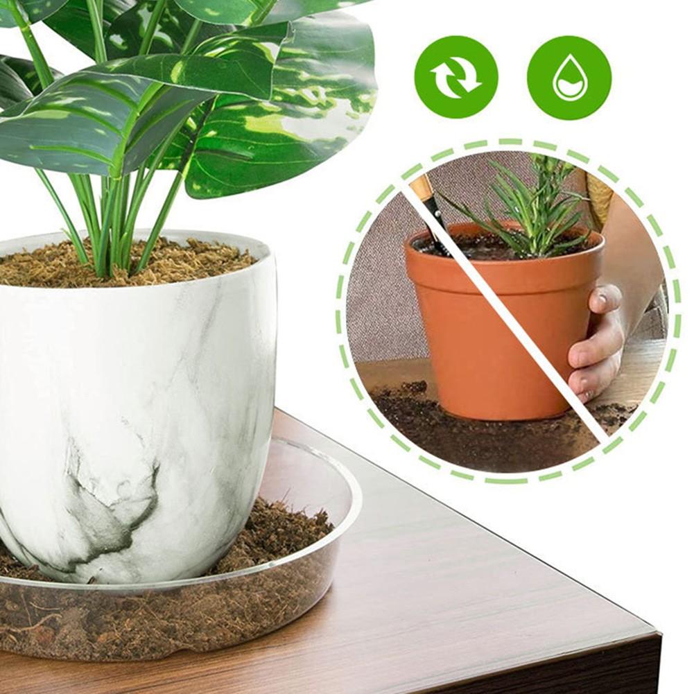 Plant Saucers 10 Inches 12 Inches 6 Inches 8 Inches