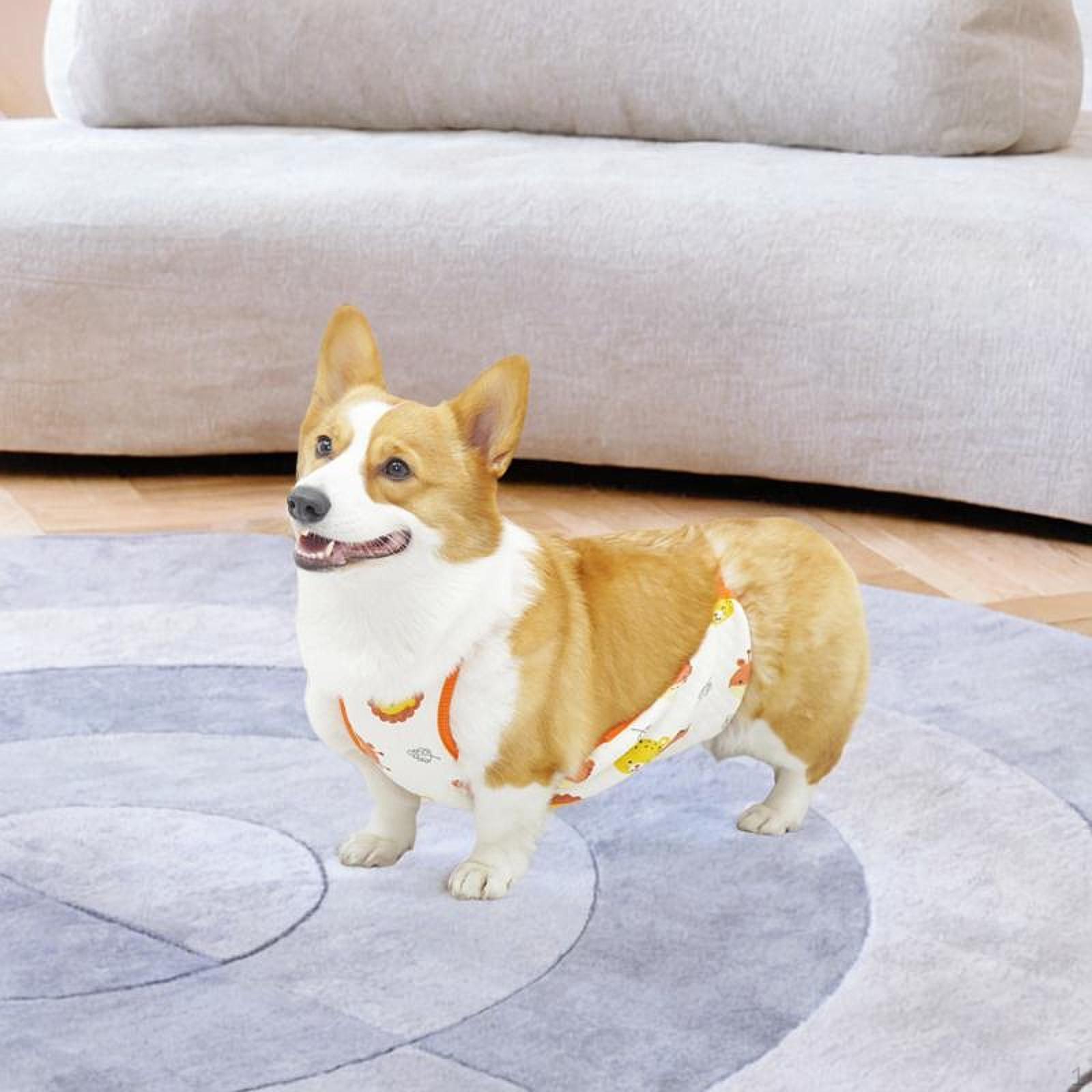 

Apron for , Comfortable And Breathable, Ideal .