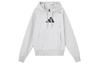 Sweatshirts Men's Gray Hooded Moderate Other IS7104