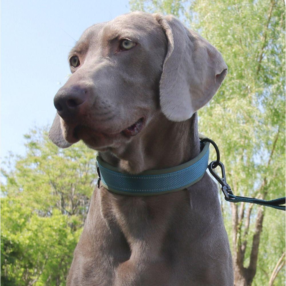 No Pull Haustierhalsband für mittelgroße bis große Hunde Elastisches Gurtband Hundesicherheitsschnalle Kette Training