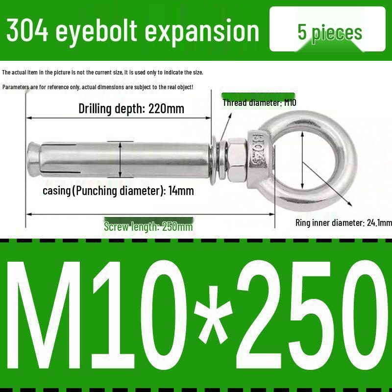 Stainless Steel 304 Eyebolt Expansion Nail with Fixing Loop