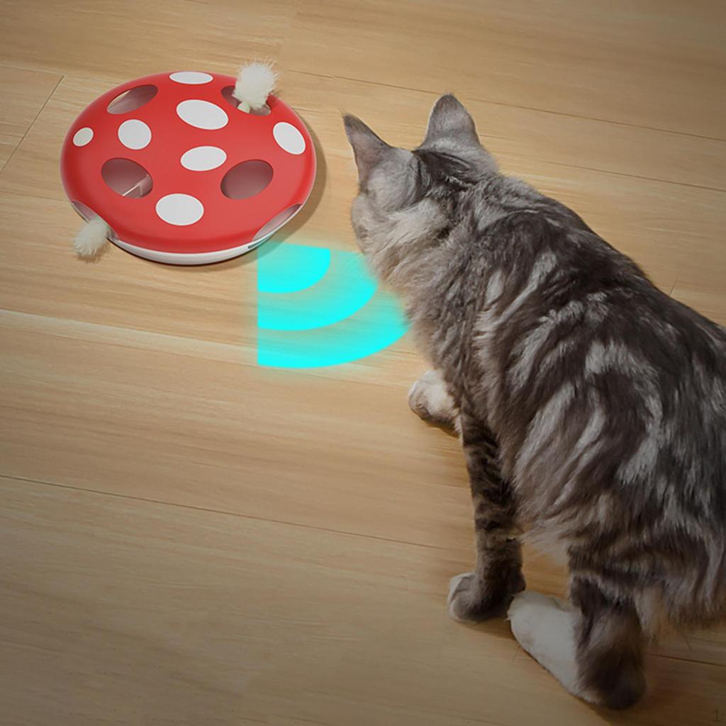 Elektrisches Katzen-Teaser-Spielzeug Interaktiv Lustig Kreativ Niedlich Tragbares Spiel Haustierbedarf für